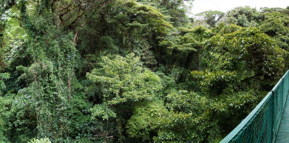 Cloud Forest Costa Rica - Ionaka Travel