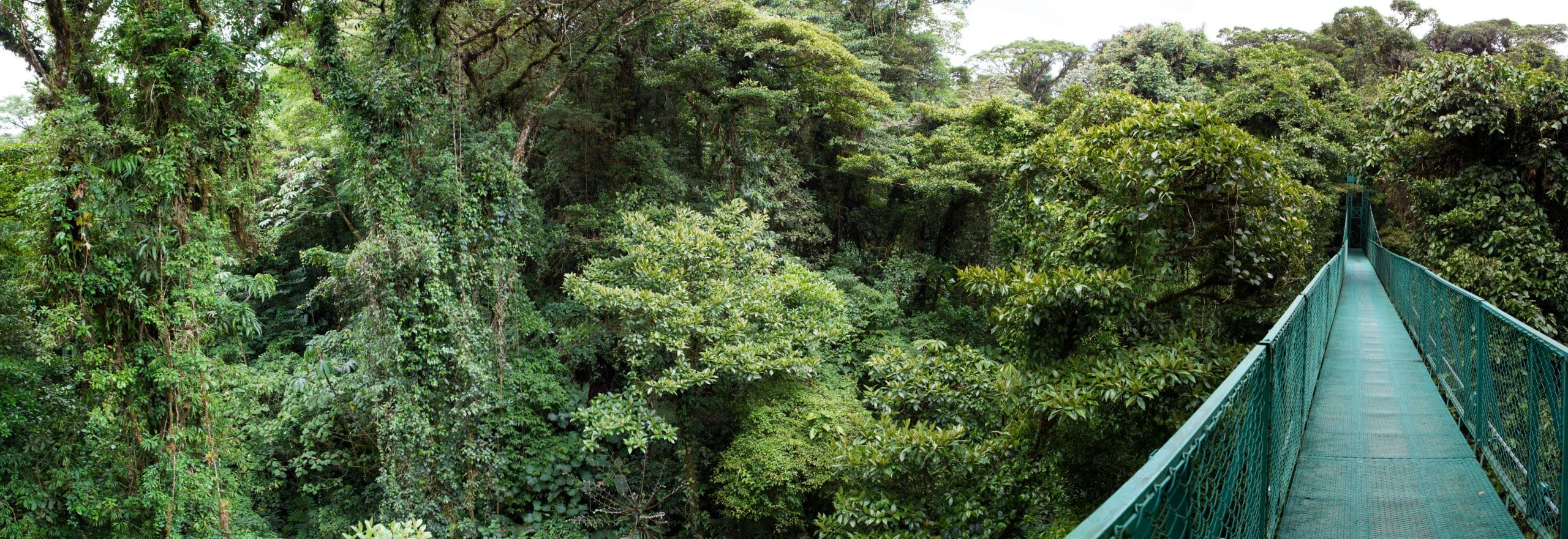 Cloud Forest Costa Rica - Ionaka Travel