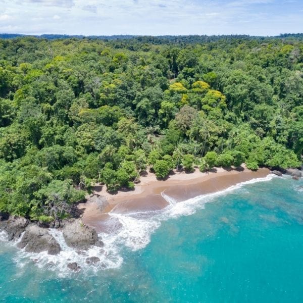Corcovado