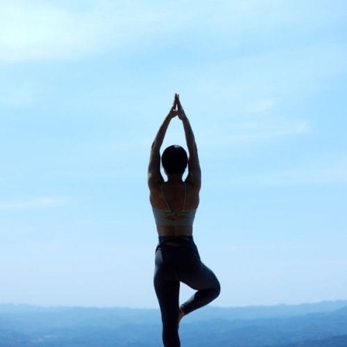 Yoga & Wellness Retreats