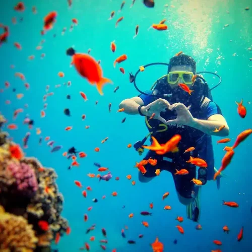 Diving at Caño Island