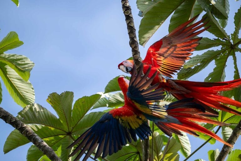 Corcovado National Park - photo 3