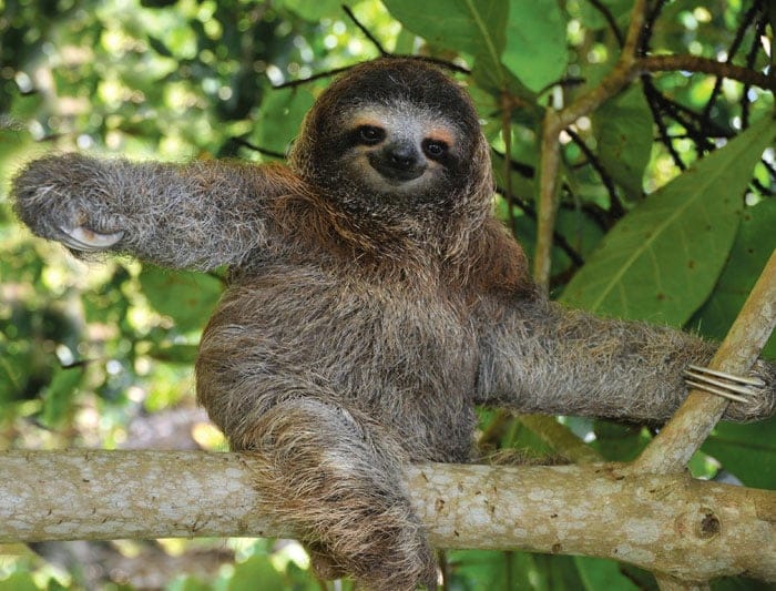 Corcovado National Park - photo 4