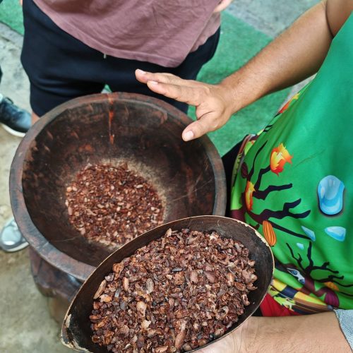 Roasted cacao beans in wooden bowls