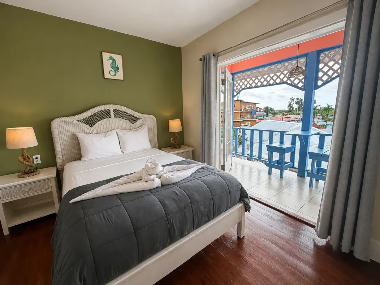 City-view Room with balcony