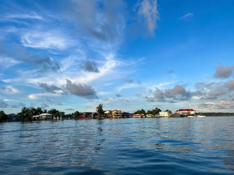 Hotel Bocas Town — photo 4