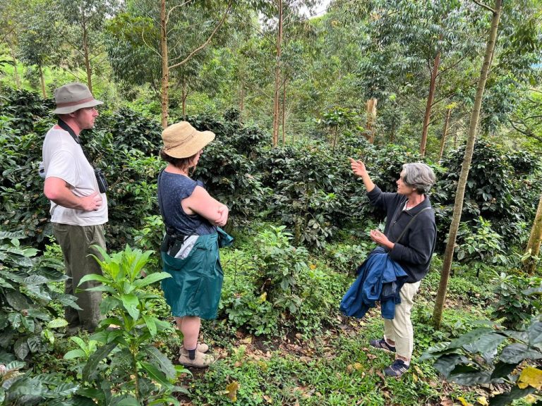 Coffee, Banana & Vanilla Farm Tour — Botón de Oro, Turrialba — photo 5