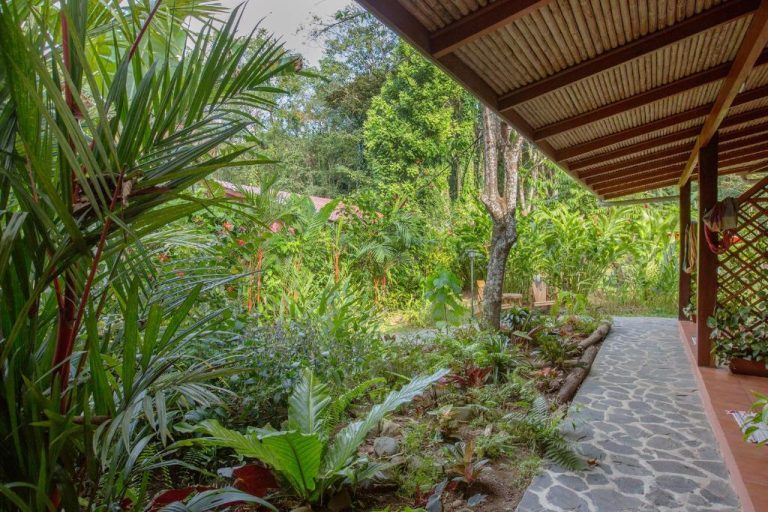 Hotel Casa Merlin Yoga Wellness — photo 4