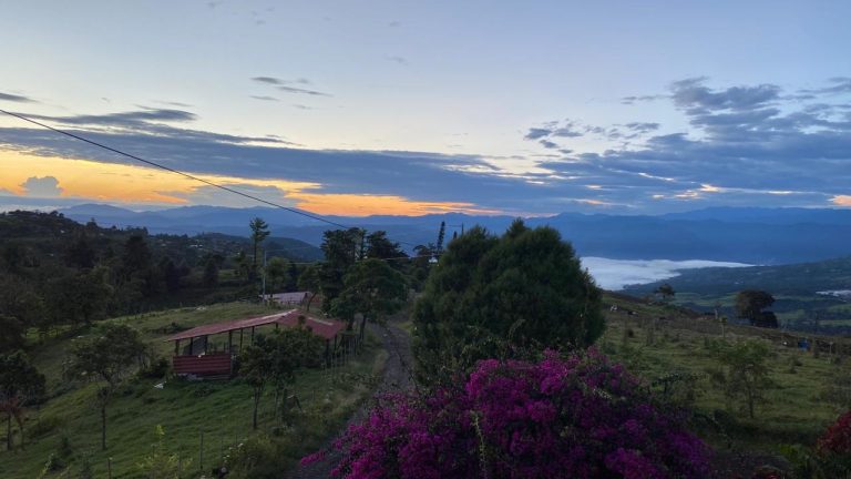 Guayabo Lodge — photo 3