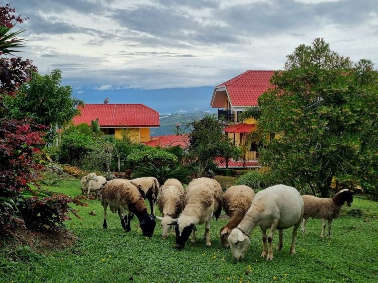 Guayabo Lodge — photo 4