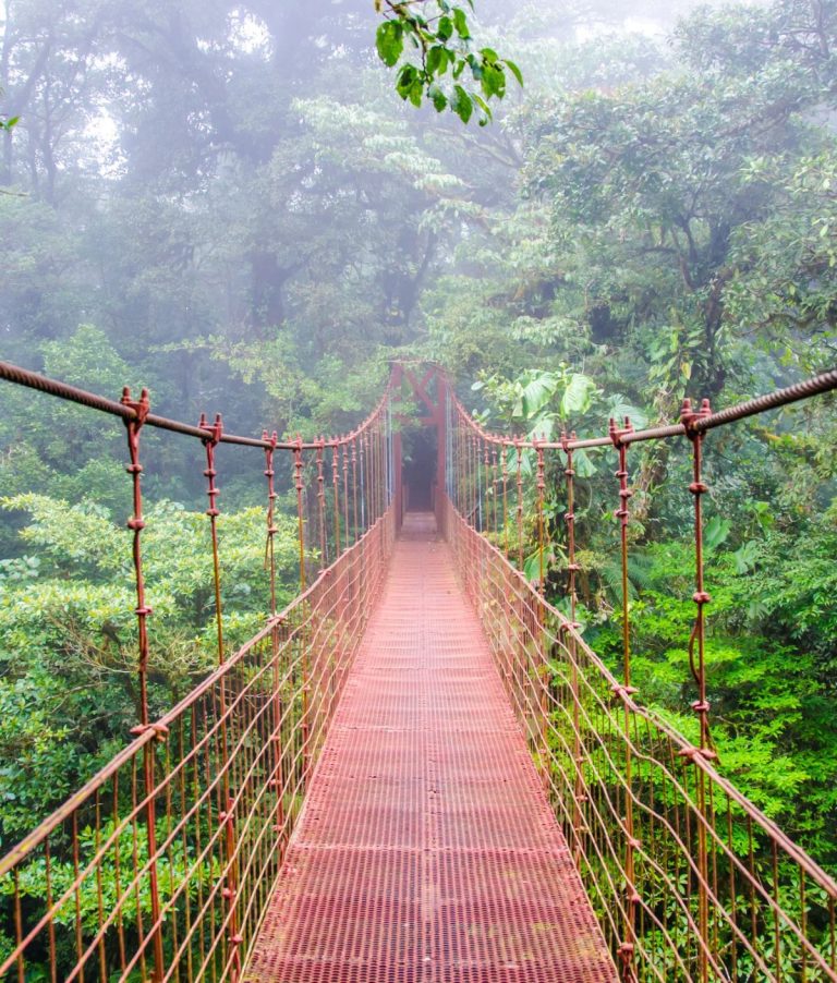 Costa Rica Grand Circle — photo 3