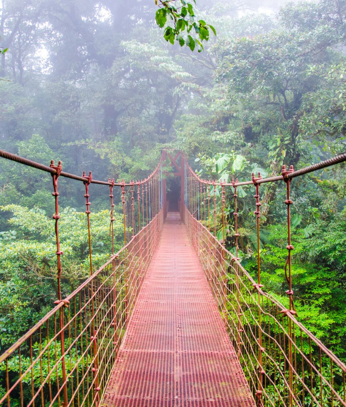 Monteverde_Destinations_web
