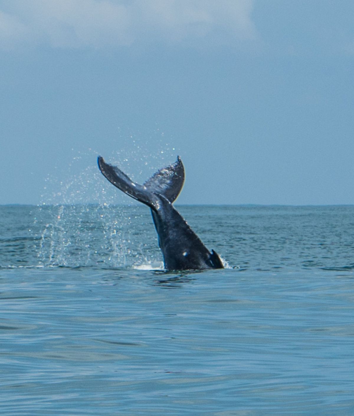 Uvita_Ballena_Destinations