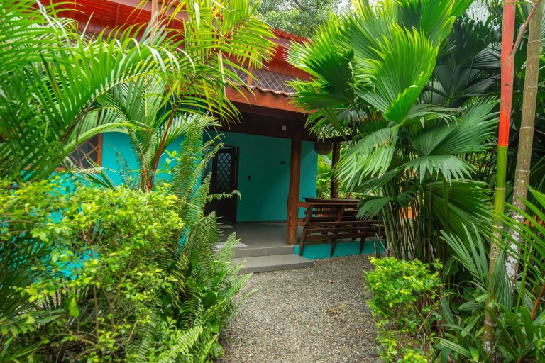 Colores del Caribe — photo 2