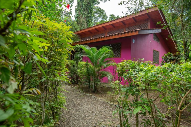 Colores del Caribe — photo 5