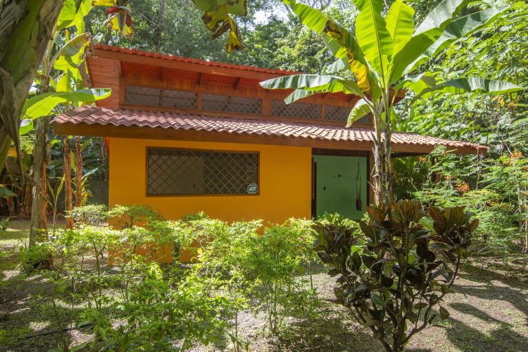Casita Papaya