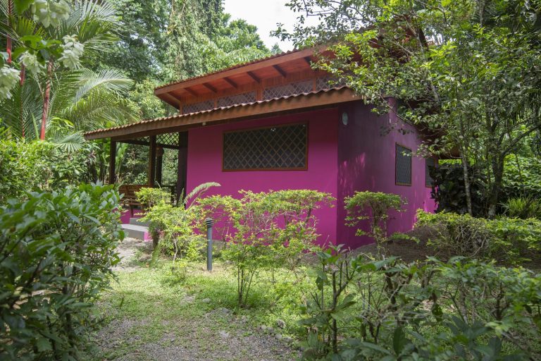 Casita Pitahaya